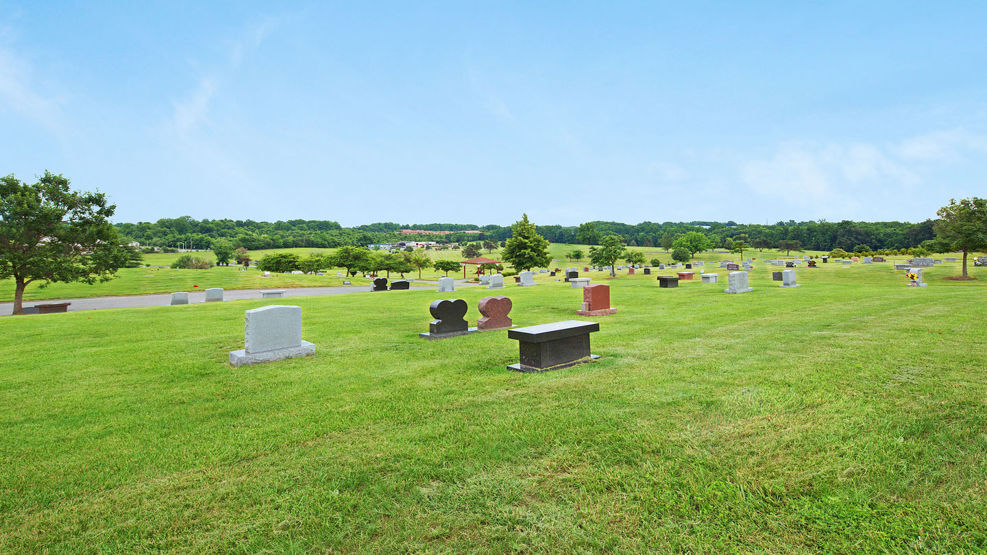 Gardens and pathways render